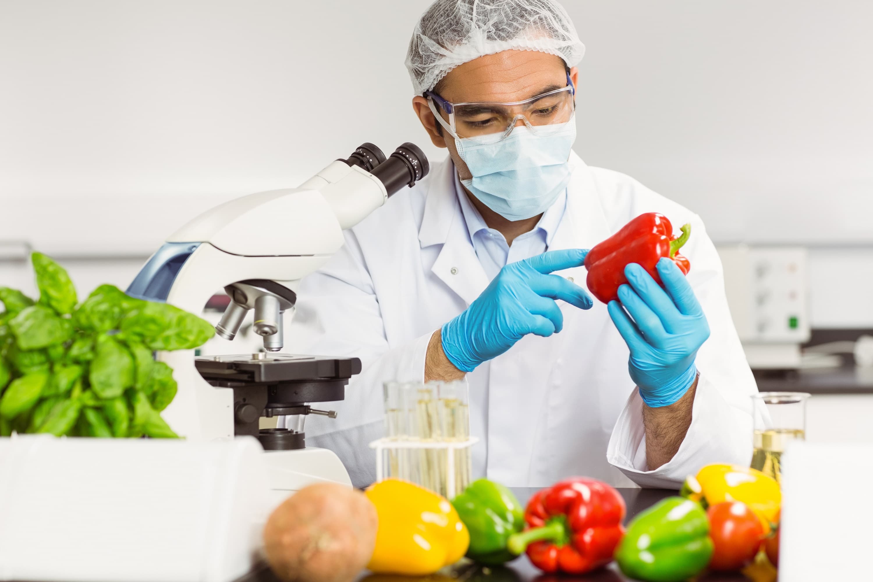 Laboratory quality inspection of fresh produce